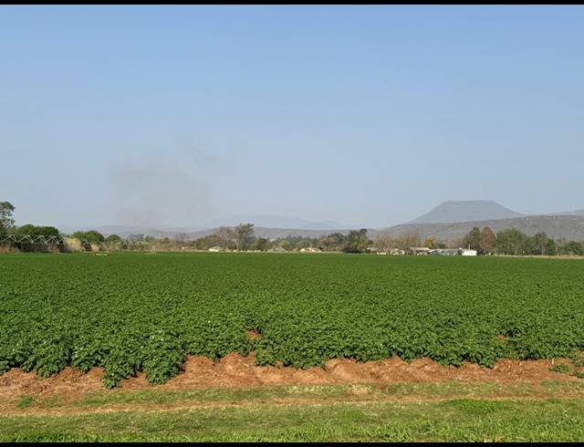 20HA FARM FOR SALE IN WEENEN